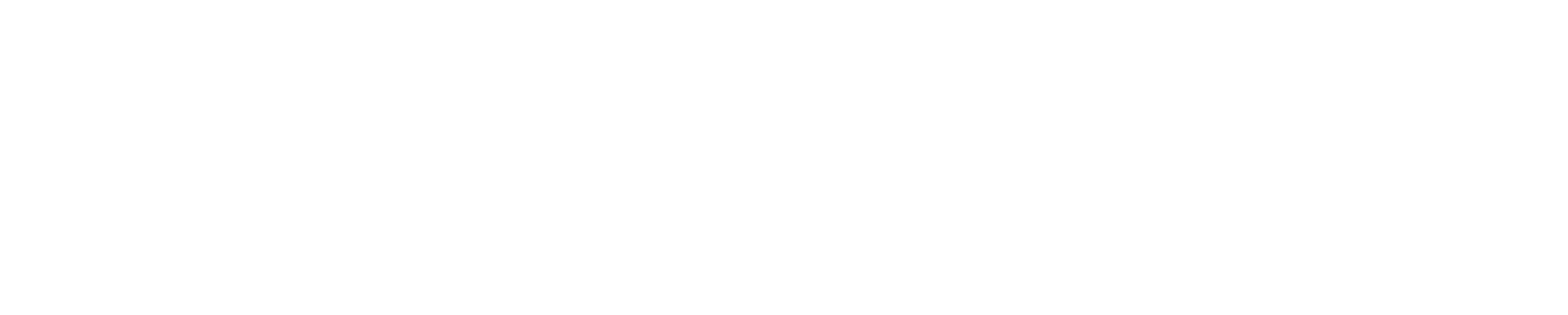 Intelligences